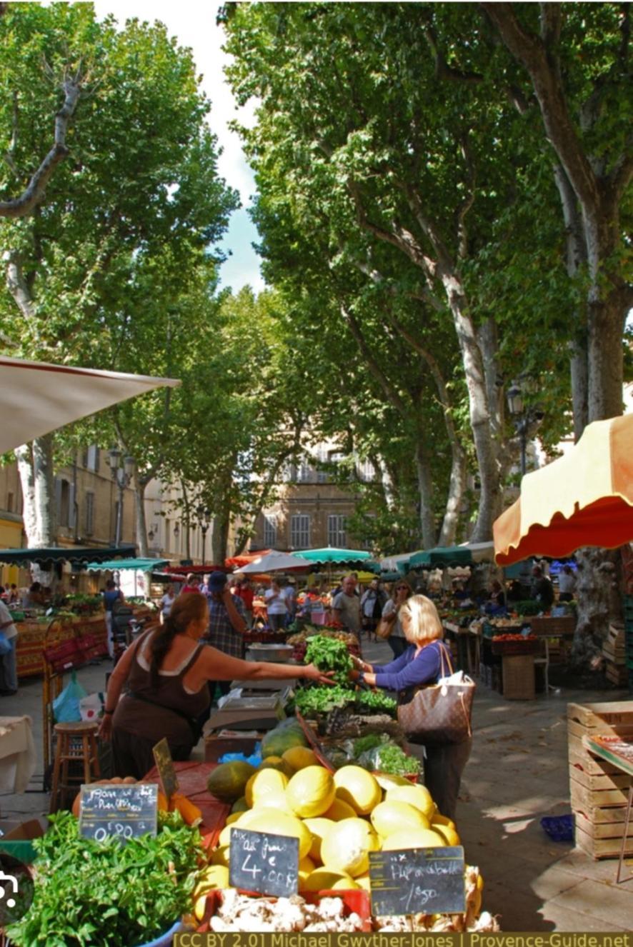 Superbe Appartement Avec Jardin Quart Mazarin Aix-en-Provence Exterior photo